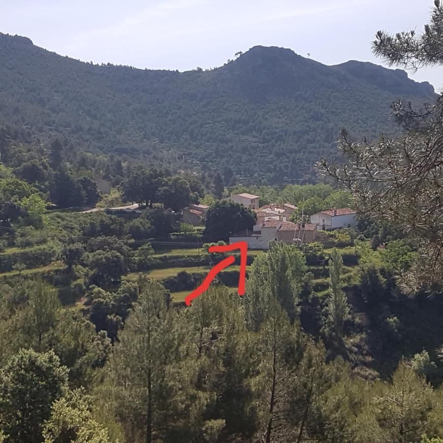 Las Encinas Yeste Eksteriør bilde